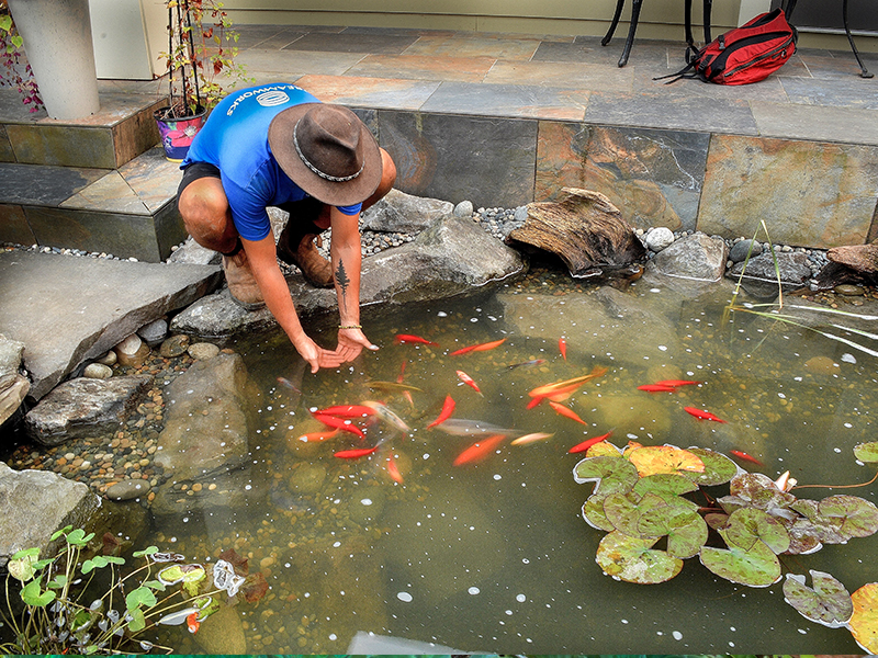 Pond Cleaning & Maintenance